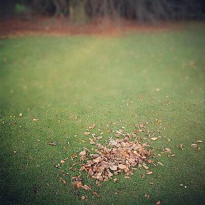 Wall Art - Photograph - Empty lawn with a little heap of leaves scraped together #1 by Matthias Hauser