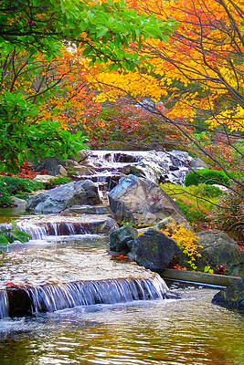 Enjoy Fall ... by Juergen Weiss Enjoy Fall ... by Juergen Weiss