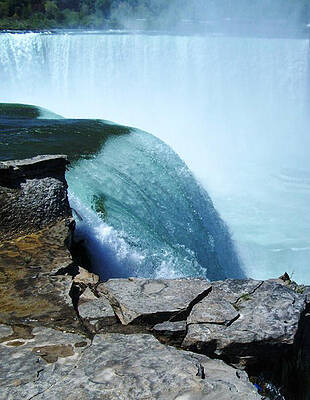 Falls by TAMMY SHAW