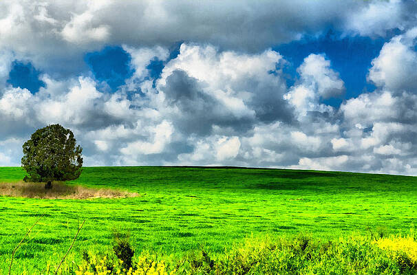 Wall Art - Photograph - Green field #1 by Michael Goyberg