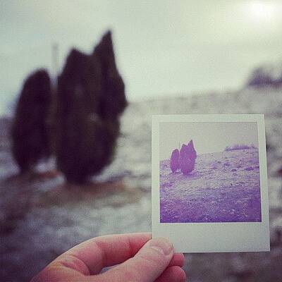 Wall Art - Photograph - Hand holding polaroid - concept image for memory or time or past #1 by Matthias Hauser