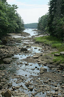 Wall Art - Photograph - Low Tide In Maine Part Of A Series #1 by Ted Kinsman