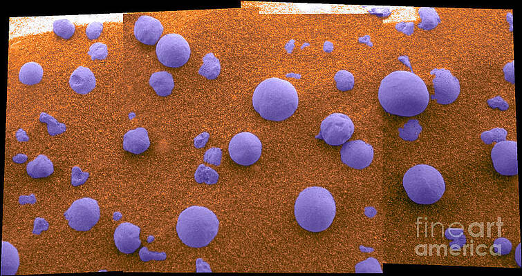 Wall Art - Photograph - Martian Soil #1 by NASA/Science Source