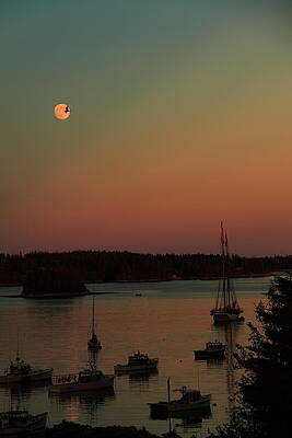 Moonlight Flight by Doug Mills Moonlight Flight by Doug Mills