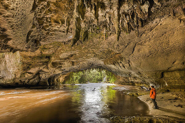 Wall Art - Photograph - Moria Gate Arch And Oparara River #1 by Colin Monteath