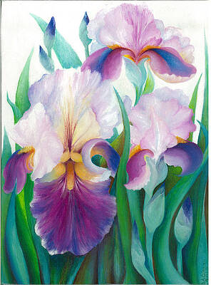 Iris Paintings (Page #34 of 35) | Fine Art America