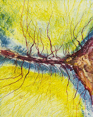 Raindrops to Rivers 15 by David W Coffin Raindrops to Rivers 15 by David W Coffin