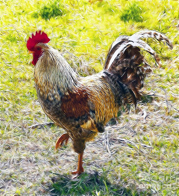 Rugged Rooster II by Sheila Laurens Rugged Rooster II by Sheila Laurens