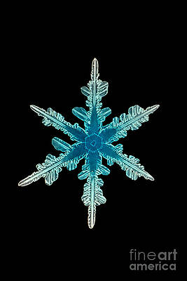 Wall Art - Photograph - Snowflake Crystal #1 by Science Source