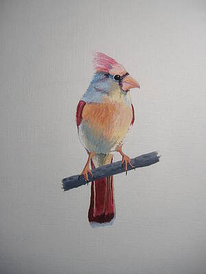 Spring Cardinal by Norm Starks Spring Cardinal by Norm Starks
