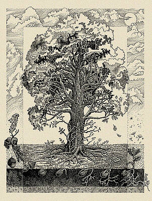 The Mighty Oak by Ernestine Grindal The Mighty Oak by Ernestine Grindal