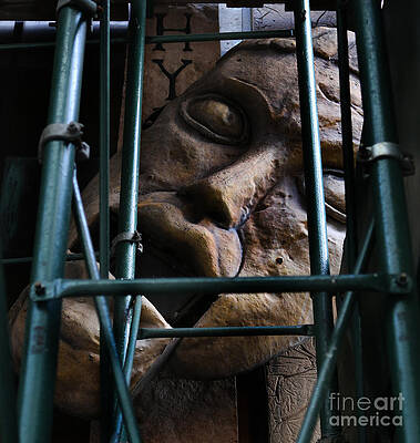 Wall Art - Photograph - The Strange Case of Dr Jekyll and Mr Hyde  by Lee Dos Santos