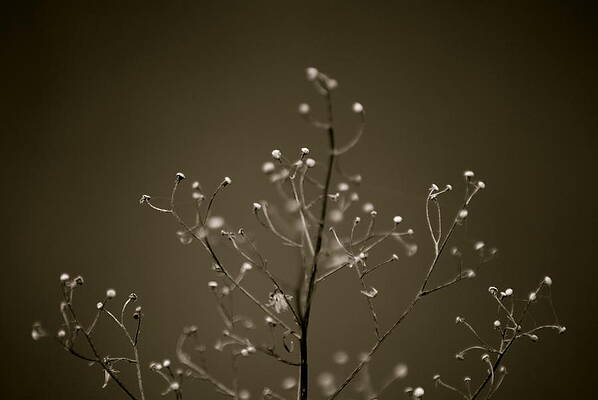 Untitled by Daniel Meacham