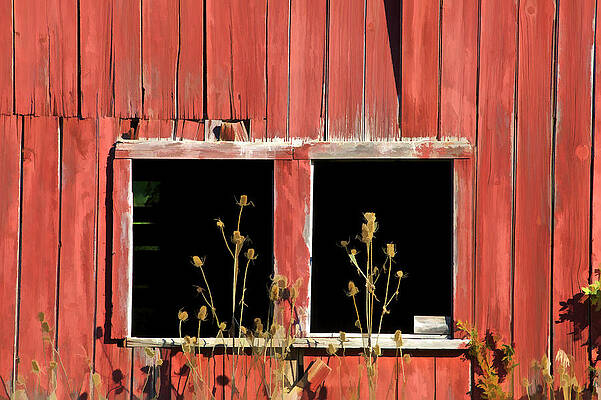 Wall Art - Photograph - Weathered Red Barn Window of New Jersey #1 by David Letts