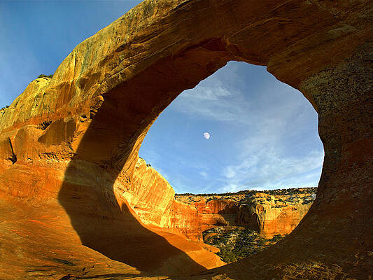 Wall Art - Photograph - Wilson Arch With A Span Of 91 Feet #1 by Tim Fitzharris