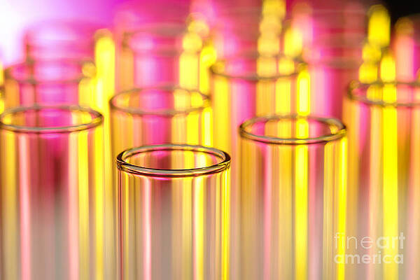 Wall Art - Photograph - Laboratory Test Tubes in Science Research Lab #10 by Science Research Lab