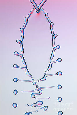 Wall Art - Photograph - Fluid Fishbone Effect #9 by Ted Kinsman