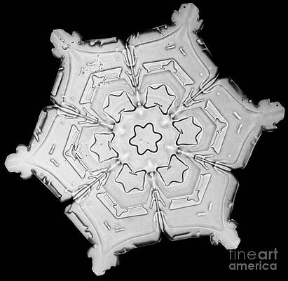 Wall Art - Photograph - Snowflake #14 by Science Source