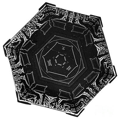 Wall Art - Photograph - Snowflake #16 by Science Source