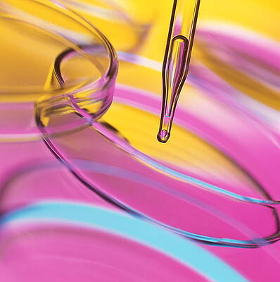 Wall Art - Photograph - Laboratory Glassware #19 by Science Photo Library