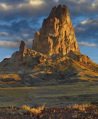 Wall Art - Photograph - Agathla Peak The Basalt Core Of An #2 by Tim Fitzharris