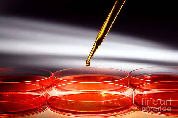 Wall Art - Photograph - Biotechnology Experiment in Science Research Lab #2 by Science Research Lab