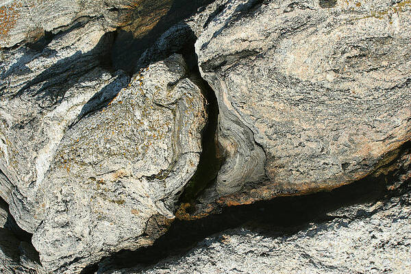 Wall Art - Photograph - Granite With Quartz Inclusions #2 by Ted Kinsman