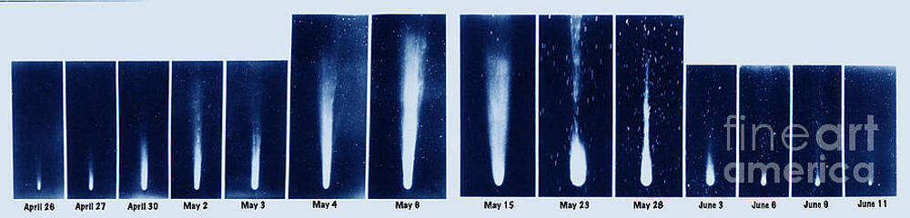 Wall Art - Photograph - Halleys Comet, 1910 #2 by Science Source