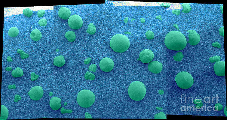 Wall Art - Photograph - Martian Soil #2 by NASA/Science Source