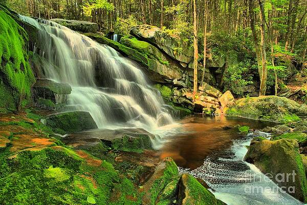 Wall Art - Photograph - Pool In The Forest #2 by Adam Jewell