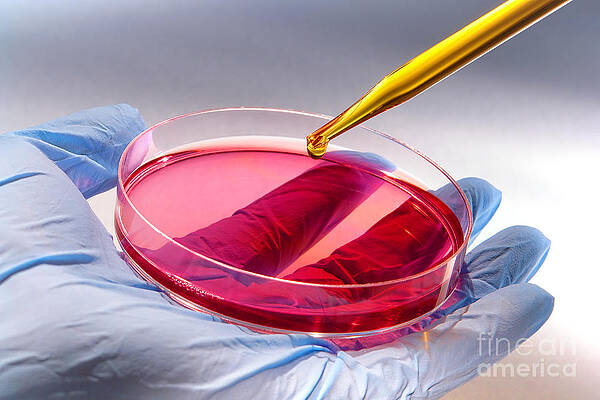 Wall Art - Photograph - Scientific Experiment in Science Research Lab #2 by Science Research Lab
