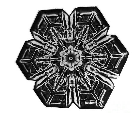 Wall Art - Photograph - Snowflake #2 by Science Source