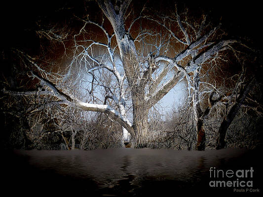 untitled by Paula Cork untitled by Paula Cork