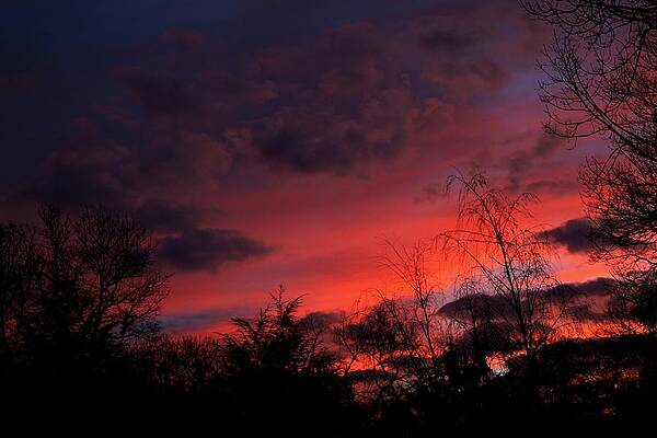 2012 Sunrise in my back yard by Y C 2012 Sunrise in my back yard by Y C