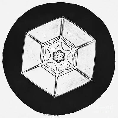 Wall Art - Photograph - Snowflake #21 by Science Source