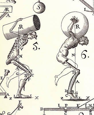 Wall Art - Photograph - Biomechanics #3 by Science Source
