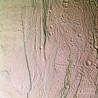 Wall Art - Photograph - Enceladus Surface by NASA Science Source