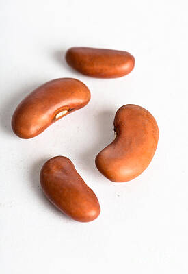 Wall Art - Photograph - Kidney Bean #3 by Photo Researchers, Inc.