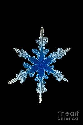 Wall Art - Photograph - Snowflake Crystal #3 by Science Source