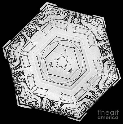 Wall Art - Photograph - Snowflake #3 by Science Source