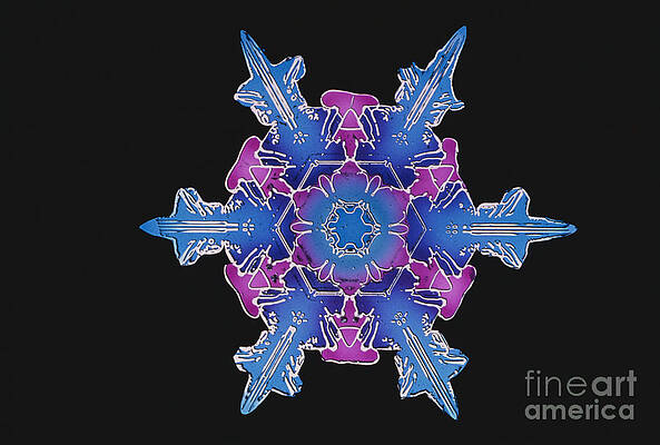 Wall Art - Photograph - Snowflake #31 by Science Source