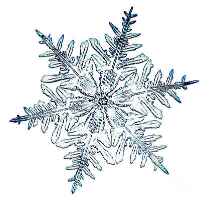 Wall Art - Photograph - Snowflake #39 by Science Source