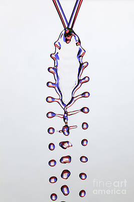 Wall Art - Photograph - Fluid Fishbone Effect #4 by Ted Kinsman