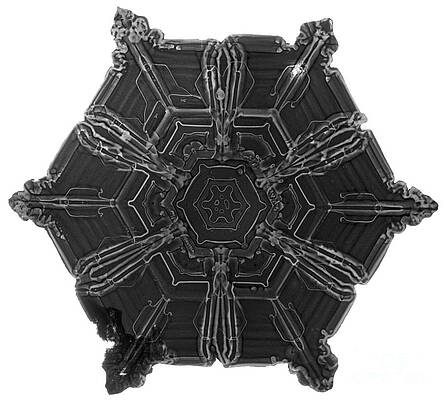 Wall Art - Photograph - Snowflake #4 by Science Source
