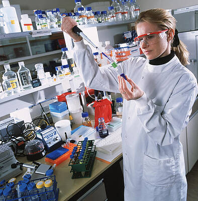 Wall Art - Photograph - Pipetting #5 by Science Photo Library