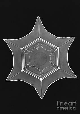 Wall Art - Photograph - Snowflake #54 by Science Source