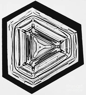 Wall Art - Photograph - Snowflake #56 by Science Source