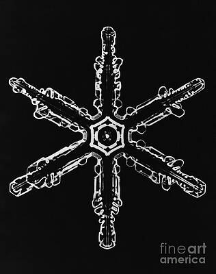 Wall Art - Photograph - Snowflake #58 by Science Source