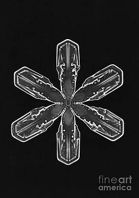 Wall Art - Photograph - Snowflake #59 by Science Source