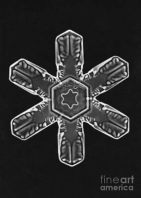 Wall Art - Photograph - Snowflake #60 by Science Source